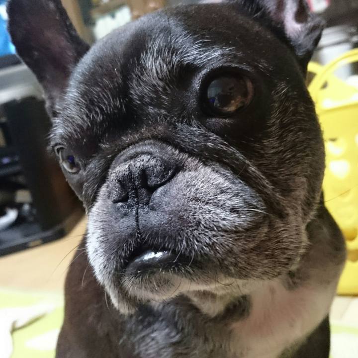 4dd05758 e61c 4b11 8c04 54201a58fdde