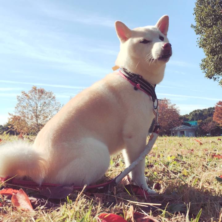 4dd0c4b6 b80f 4029 926f 5784b5a75a16