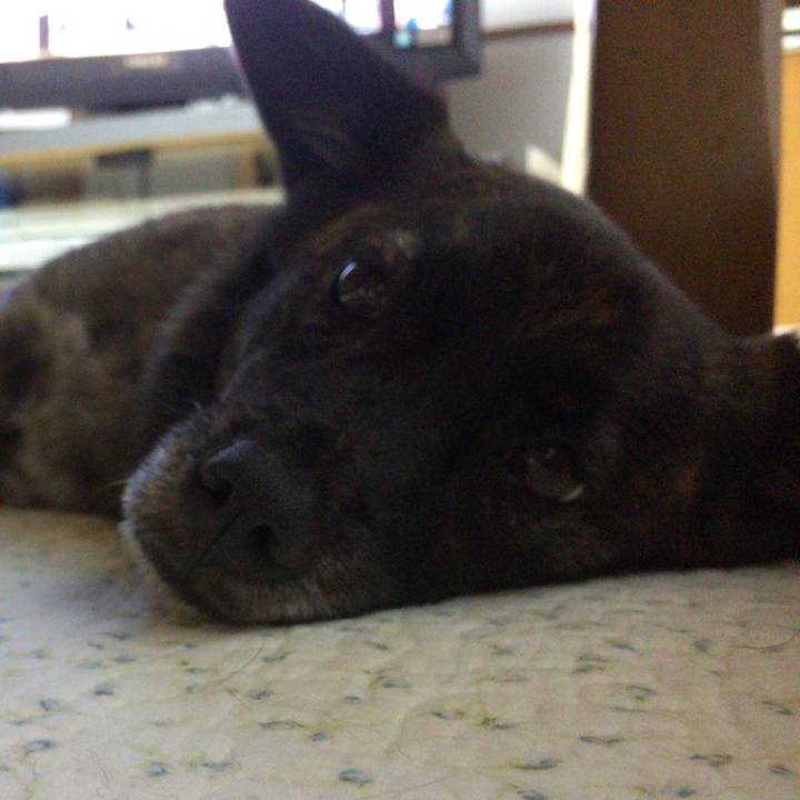 4dd19557 b342 4497 98fd d6ad3c79c4ab