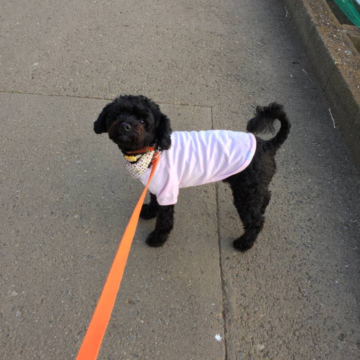 4dd1b8b5 f8aa 4dfc bbcd cc5fdb25b405