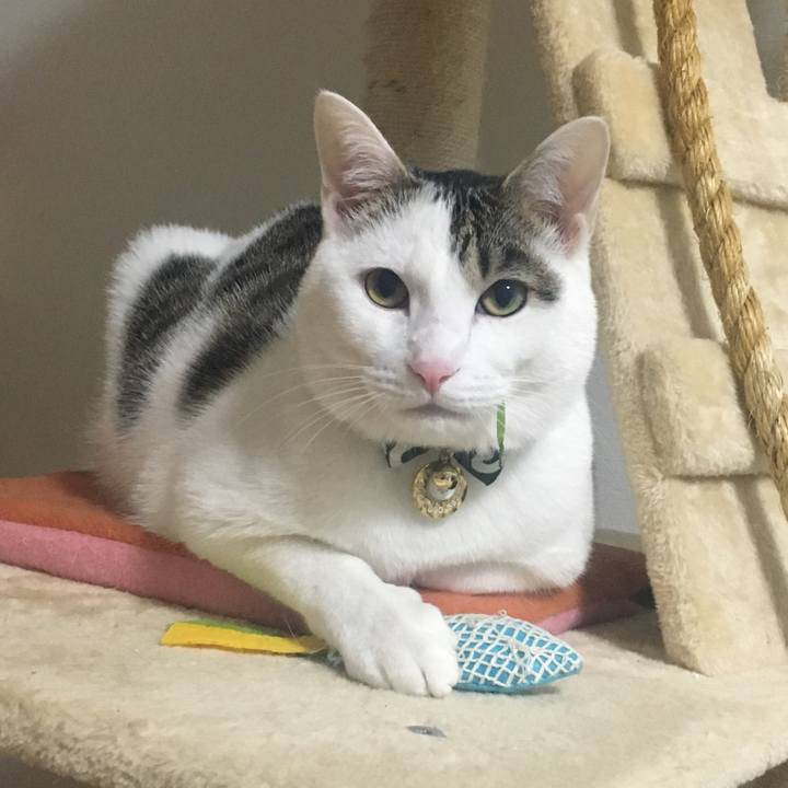 4dd1c05f 110c 455e a467 668ae62c79b3