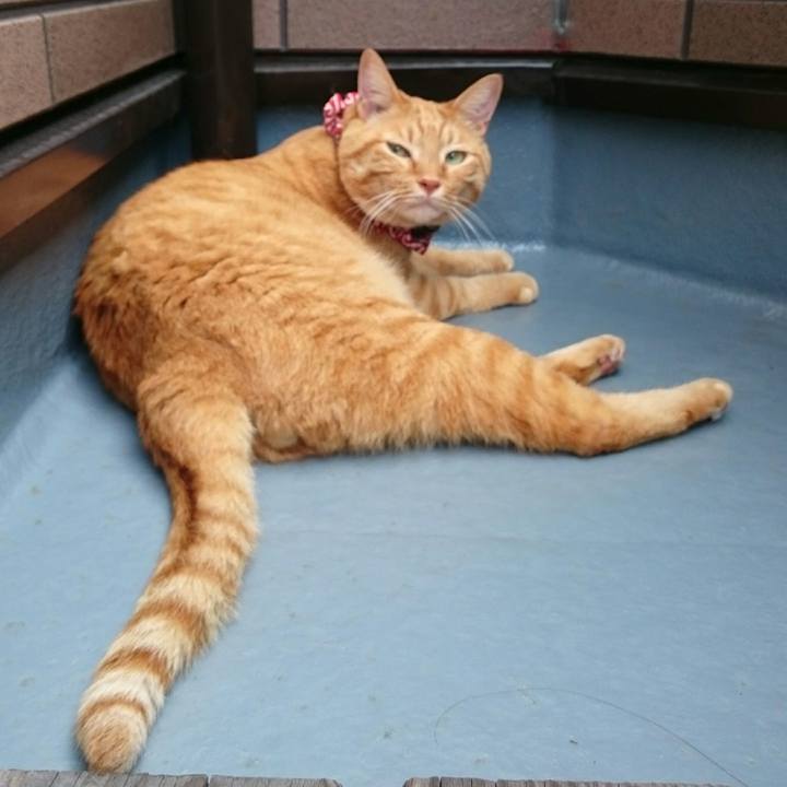 4dd289ee d495 4bef b8eb ee1a4e5f433b