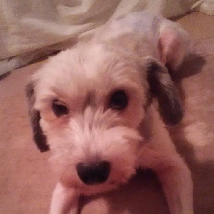 4dd34d38 1b2c 4c1a 994f 3d9d1574c84f