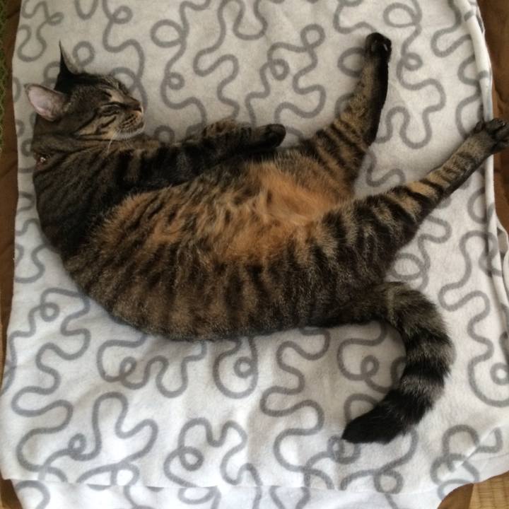 4dd44c7d 6722 4644 ab19 73994fb2854d