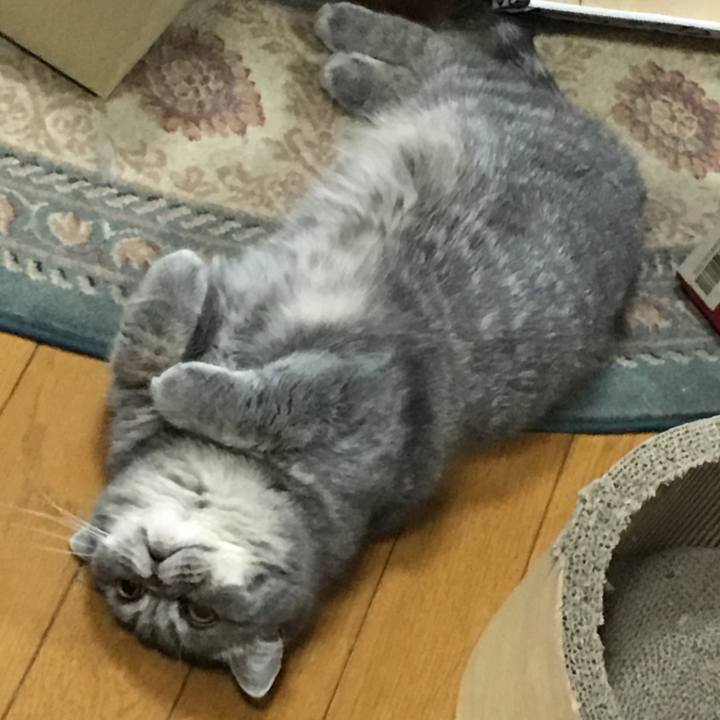 4dd56ff8 8a7e 4a78 95bb 242323bc813c