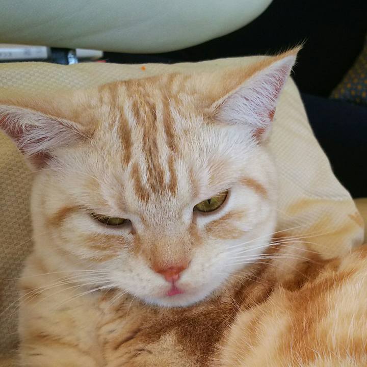 4dd5eae6 3d7a 4283 87e4 e77551681fe8