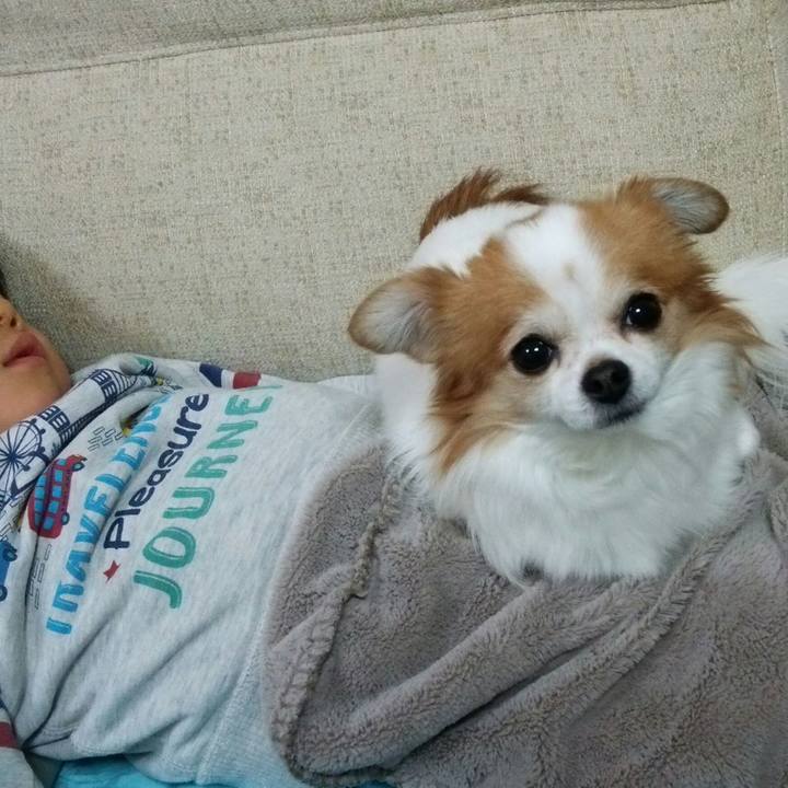 4dd5f224 81db 45d5 a652 a14d989b4522