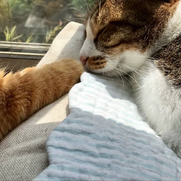 4dd8f2ca d558 4c3a b46b cb9b1f68ebe7