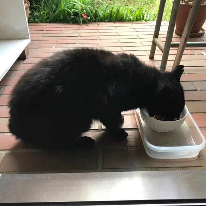 4dd9185a c5d8 458d a4c4 4ff38a1d032f