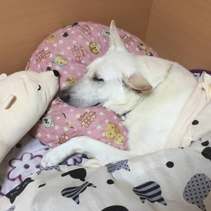 4dd96d80 5923 4ea9 8060 c2ca329bb9f2