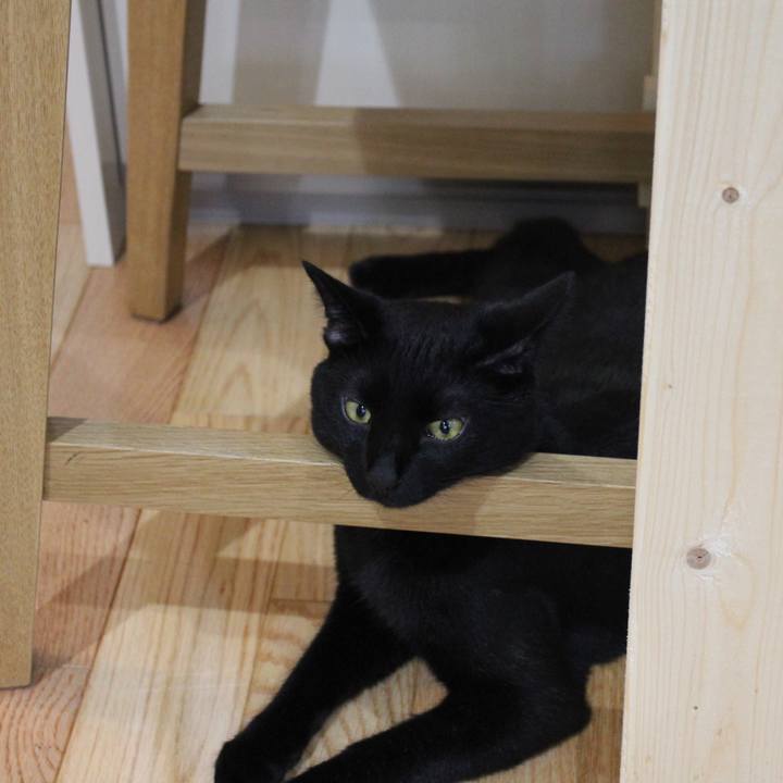 4dd9ebcf 0f70 470b 8f5d 187d8b2a0a60