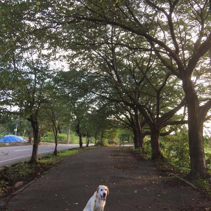 4dd9fa74 8201 46f9 a57b abed9ffa38f7