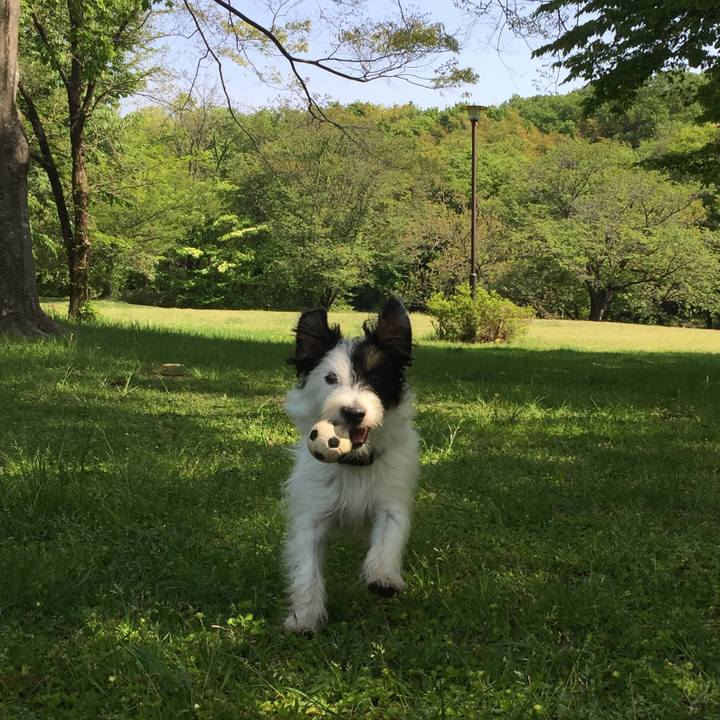 4dda05a8 ec6b 4162 a4a3 bb7f13a317ab