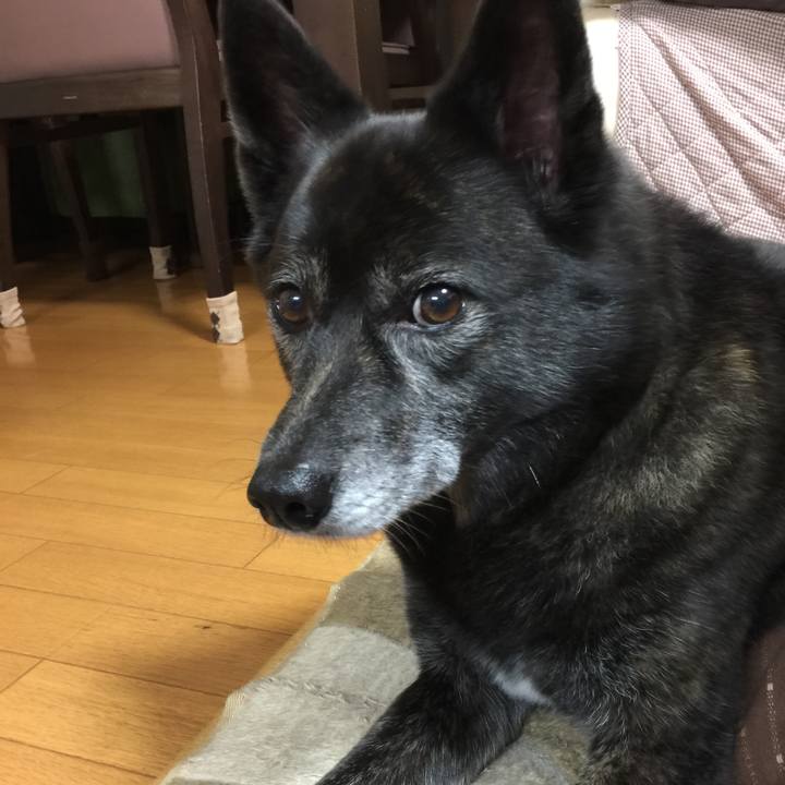 4dda6774 1902 48b5 9dbe fe255782201d