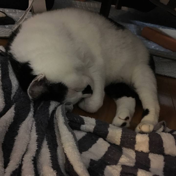 4ddba546 35ed 4e1c 8bb0 d1dfd21141bb