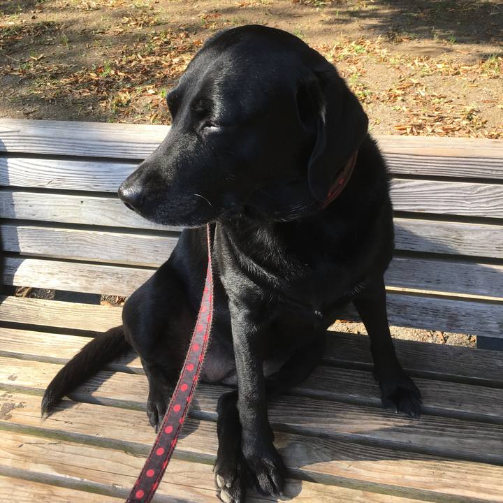 4ddbb8e5 fa0c 459d a746 1606e2e3fa63