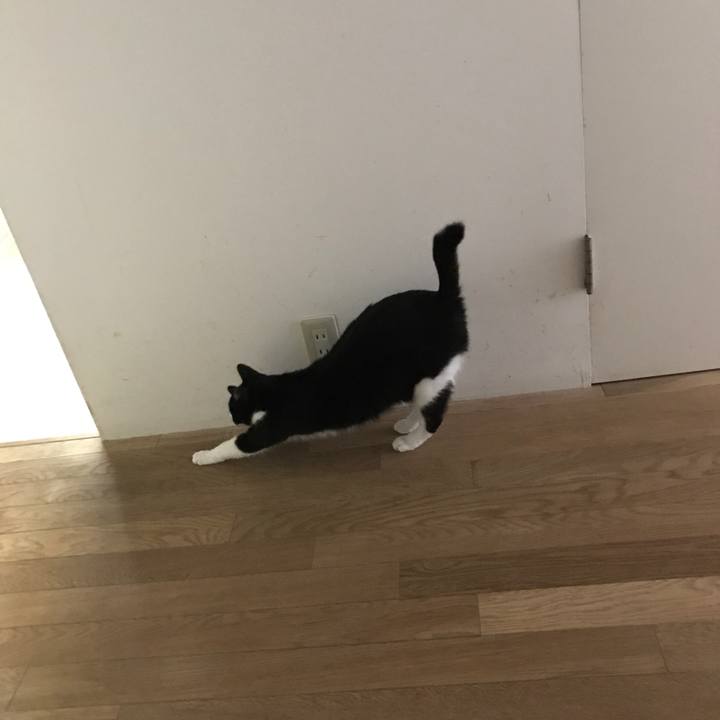 4ddca2c1 09f5 4972 9098 d01aea44aa62