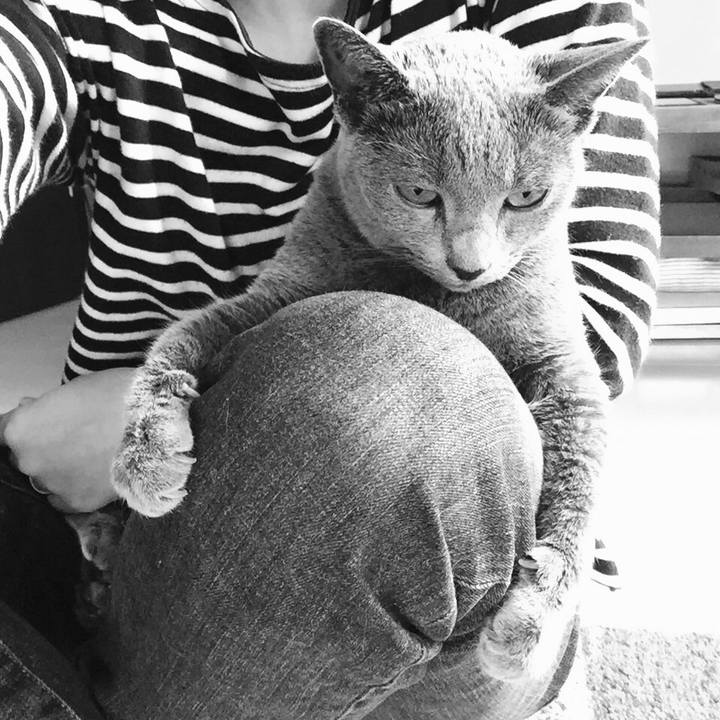 4ddce690 f8c8 4854 80fe 2a40212bd3d0