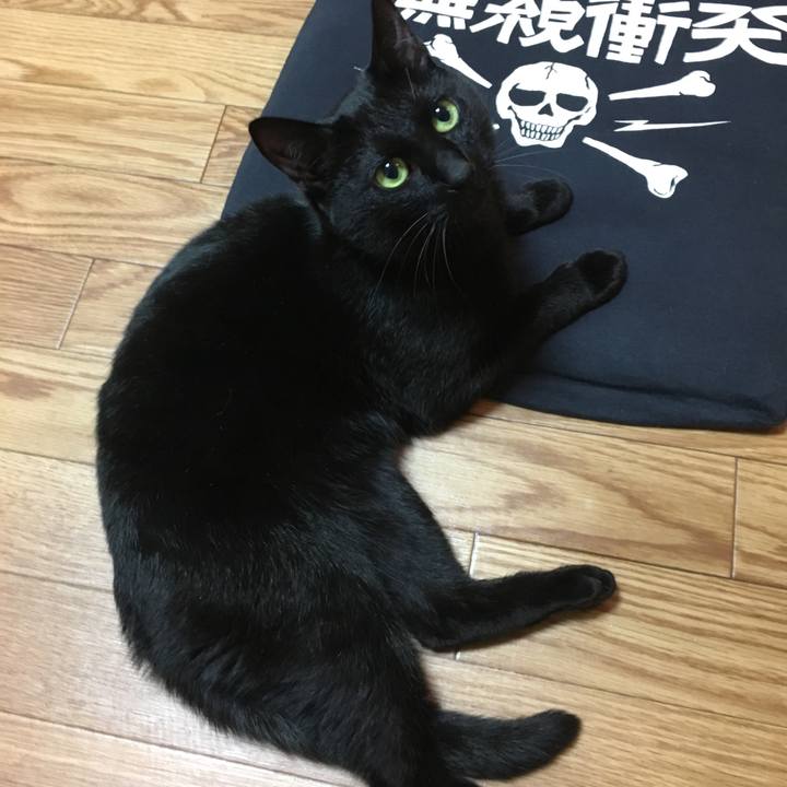 4ddf14ed d680 4ede 936a 58756a2d8fe0