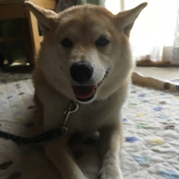 4de17289 4d6d 48e1 876f c8b870af95d4