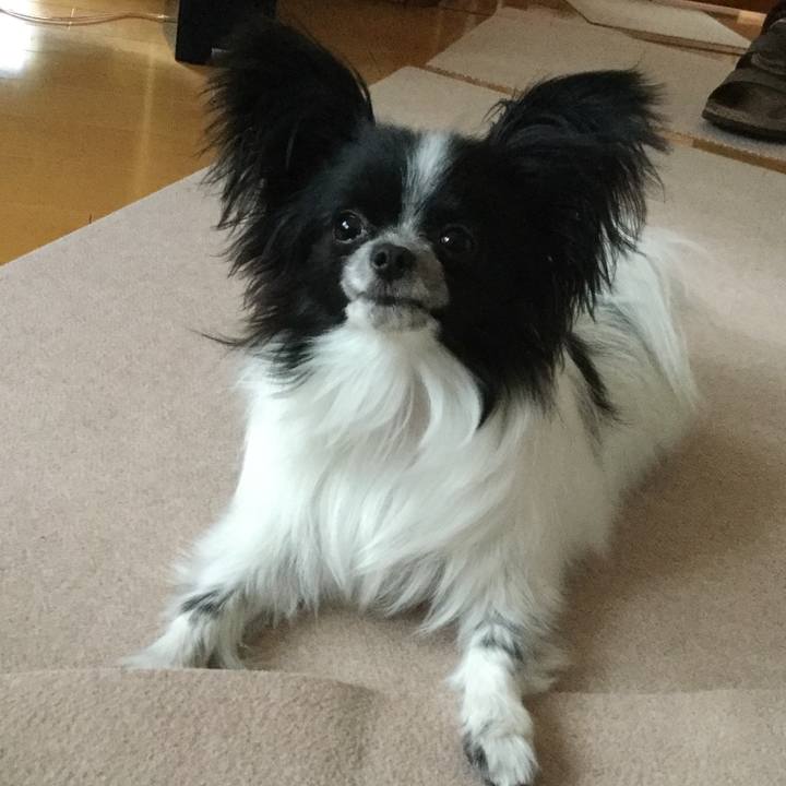 4de1c119 dcb1 4b4b 866c 4fd3cdfe8bd3