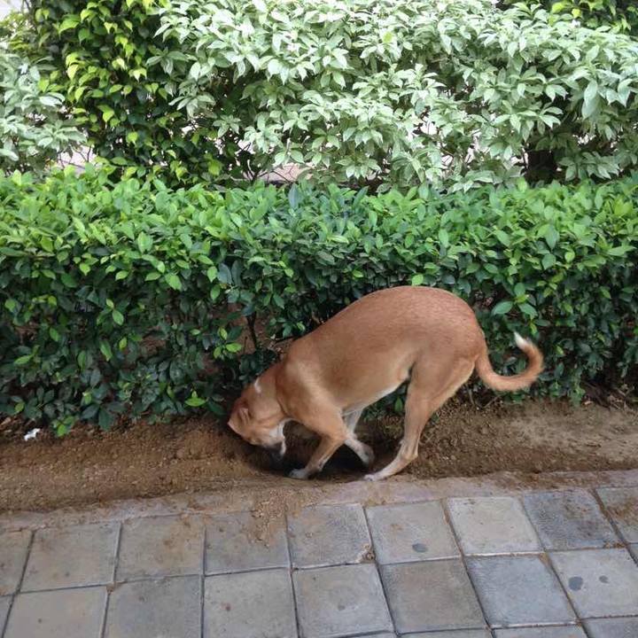 4de2a0d6 45bd 4f92 8b3c 5a59ecca9342