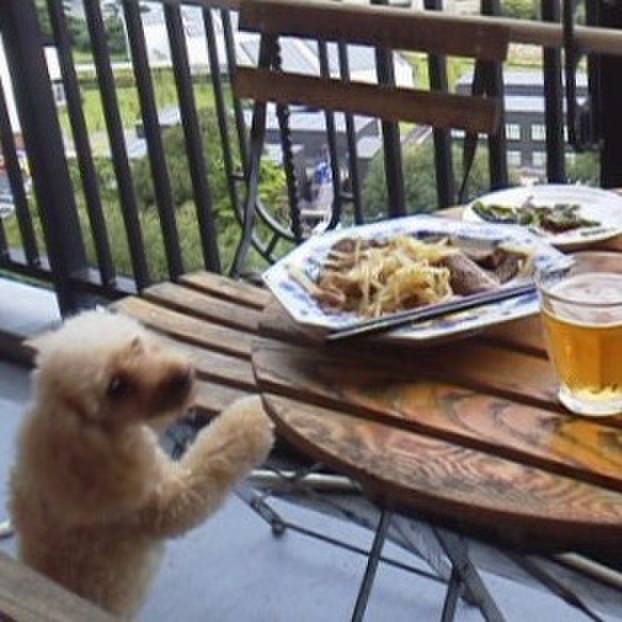 4de332f2 2389 479e 9278 f6bfea5a7add