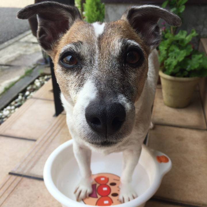 4de39231 7e97 4a06 a54d 322bedade240