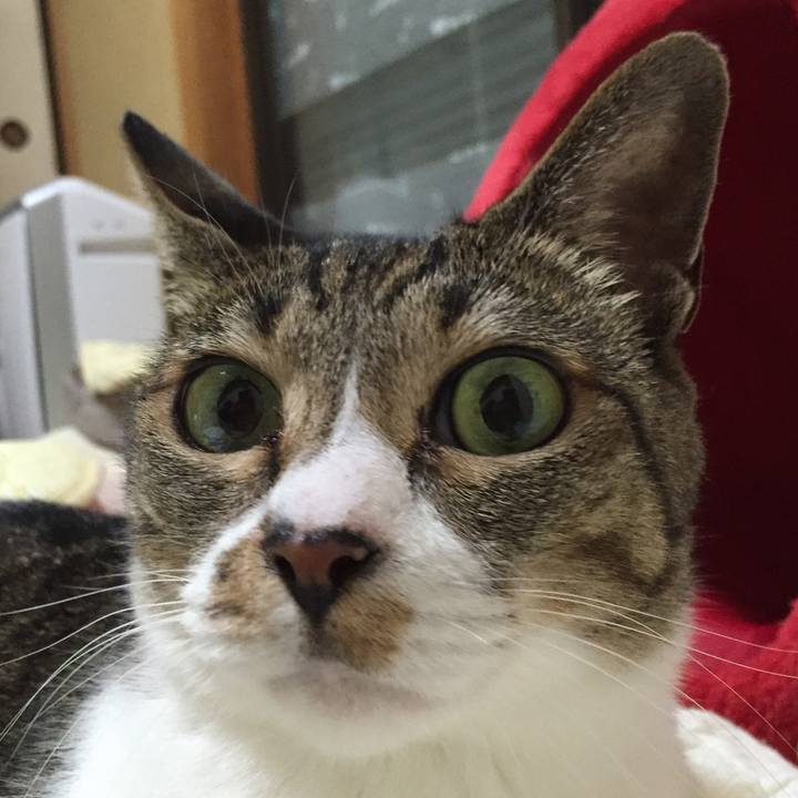 4de3b3cf d921 4bb9 8059 81f60f1c58f6