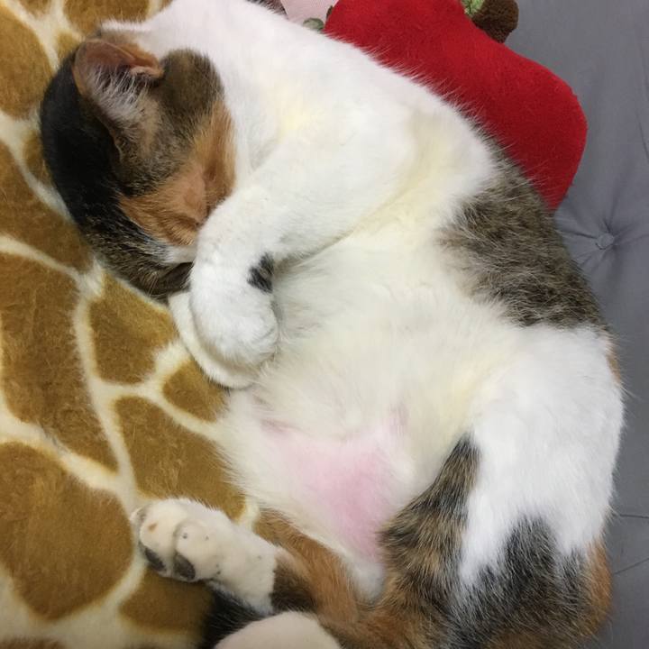 4de3b799 45e6 4930 818c 6ed10c80a2f4