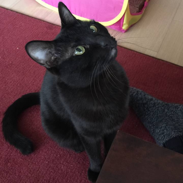 4de3dcd5 2aa7 47a4 ac56 a8f0651238cb