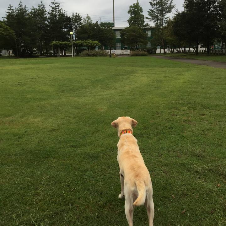 4de3e0bc 7896 4e17 905a 72f0d14a4d97