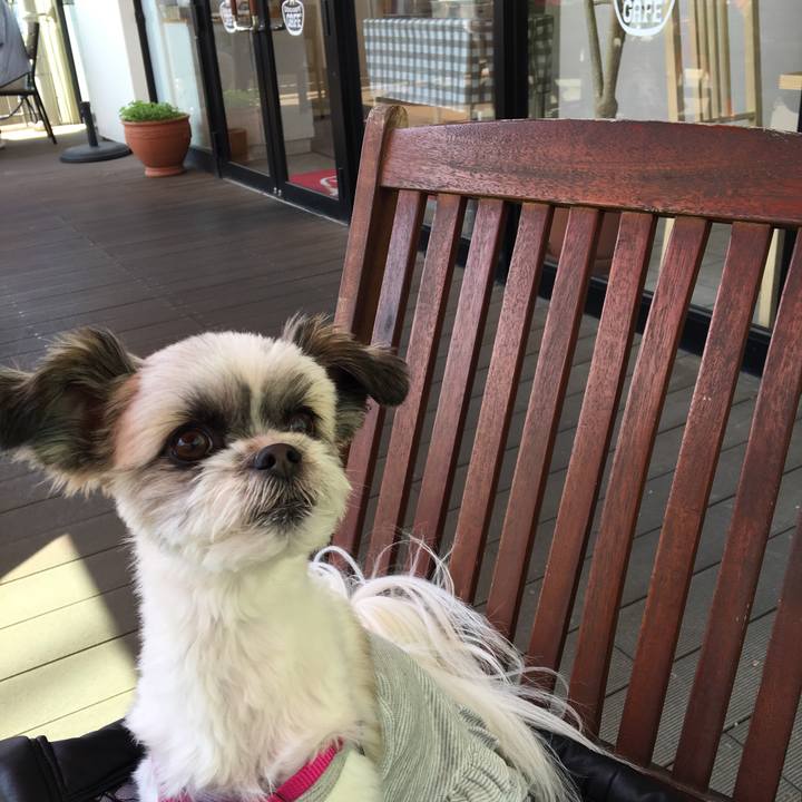 4de3f9c2 ab9b 48da beed 38437af02a1c