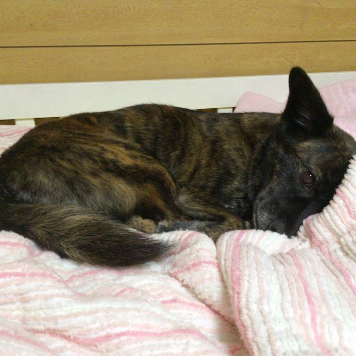 4de44468 bbf7 4693 b833 db37d2d78480