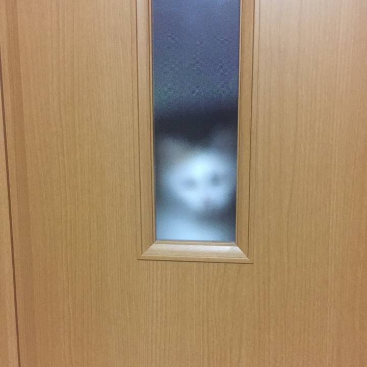 4de54834 1e5a 4000 98ab 257d41bb2339