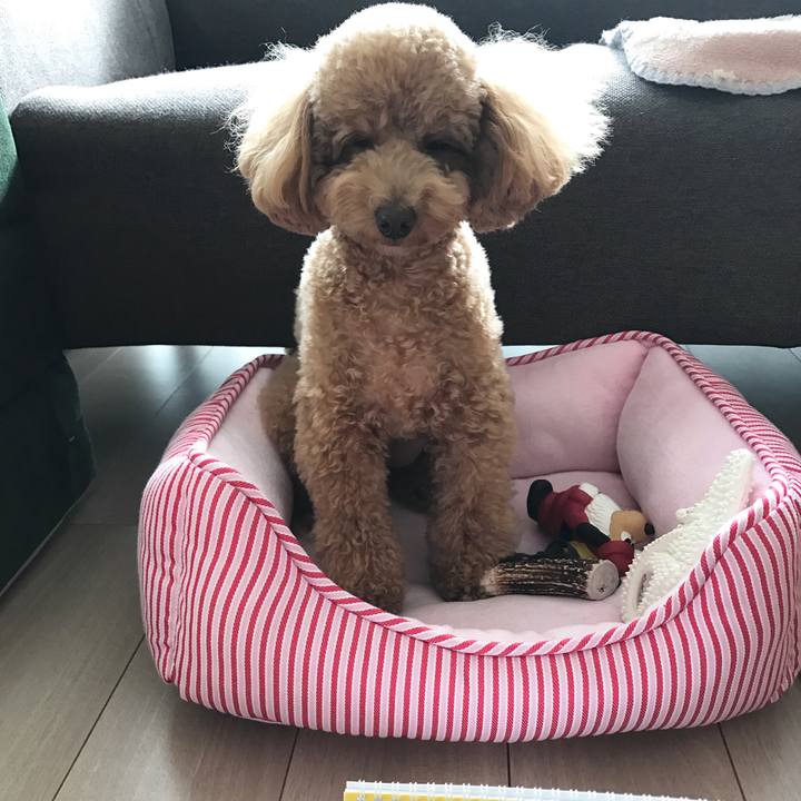 4de55a41 7377 48df ba6a e4d1e41f495b