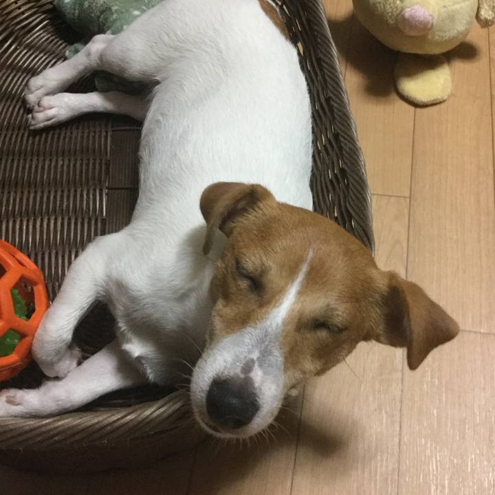 4de56b22 19e7 4aa6 8004 e52355386e92