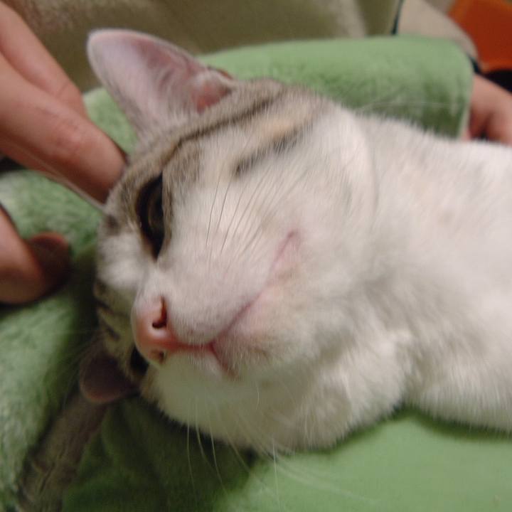 4de56e66 aad6 44bf 8571 b95a51829039