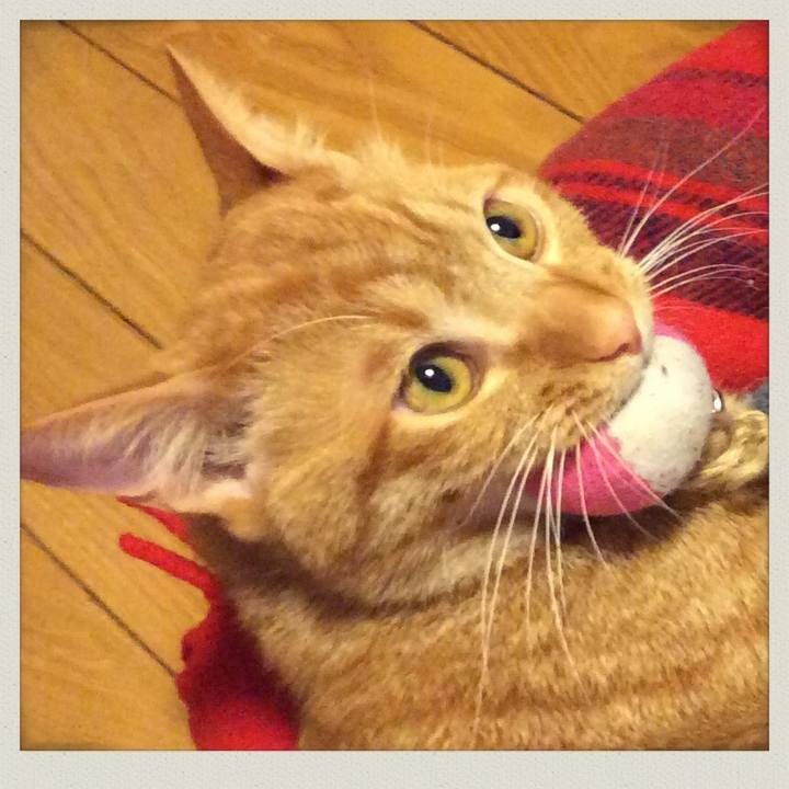 4de60f19 0999 44c2 8cf2 9bf46c314c2b