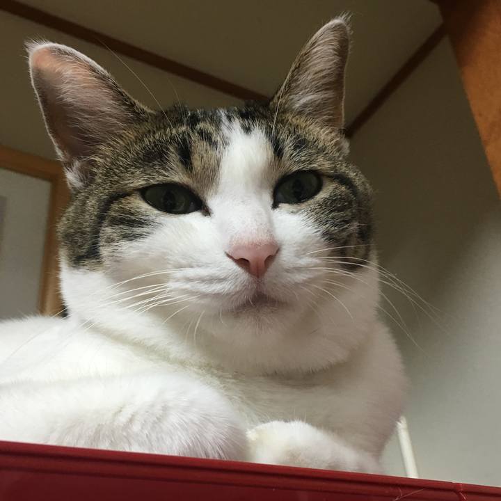 4de6a6ac b208 41c7 a826 a32b8d1df66a