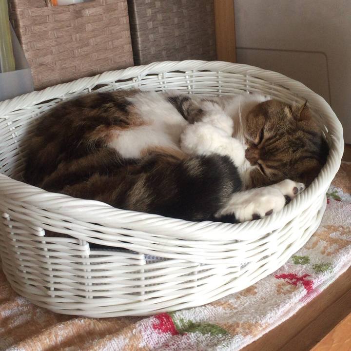 4de71fe1 8fd5 4820 8190 7bed55928525