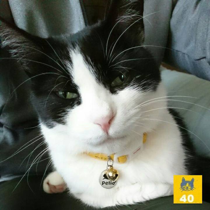 4de73dd4 f955 4cad 9112 76b21469e89a