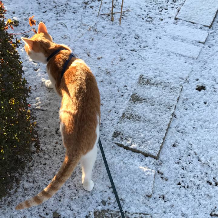 4de75eaf 6fe7 4847 b3b6 eb54d98644d5