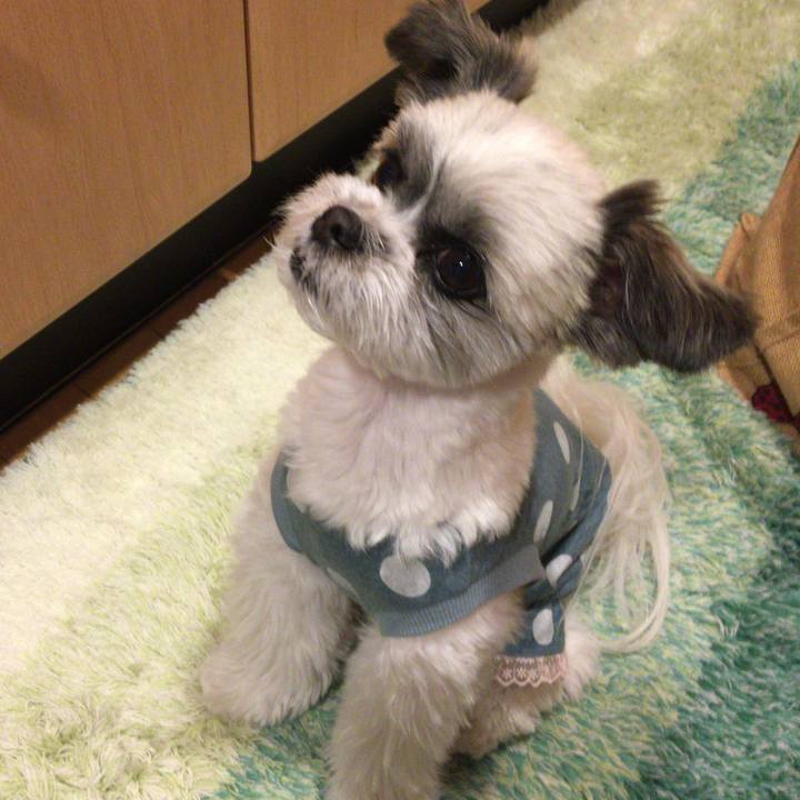 4de791be db95 4ac5 9054 677d97dce448