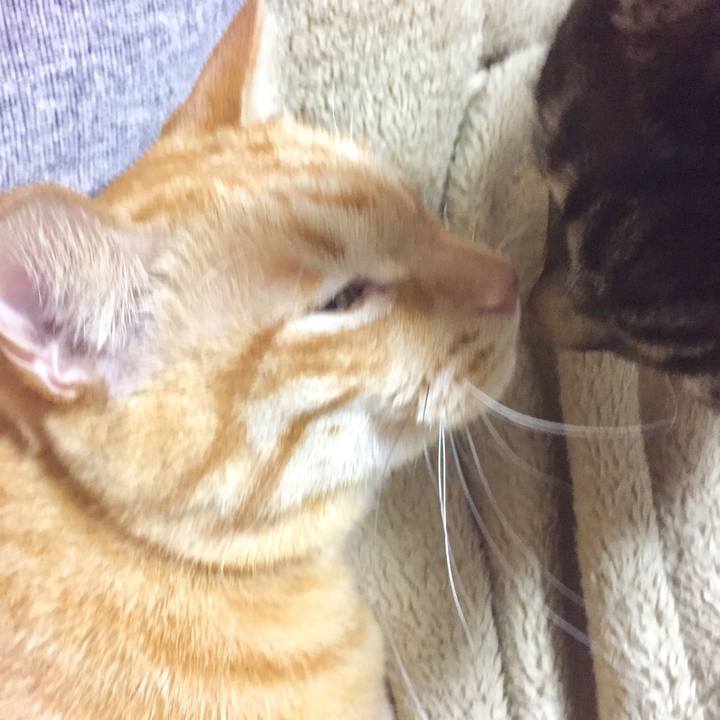 4de7a2b4 c9ff 4740 9f44 8c104ee0c647