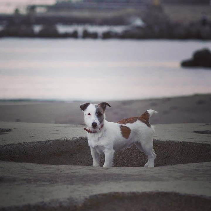 4de855d4 b2d3 4b30 a590 e8b51a813816