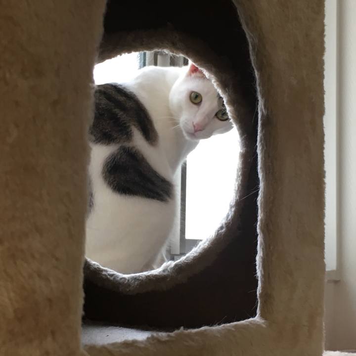 4de85fd1 28d1 4de1 bf1f c60900b21a47