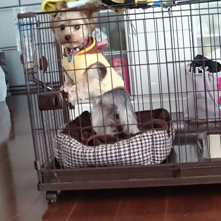 4de875ba 7b0f 4e01 b978 77d6e81f2cce