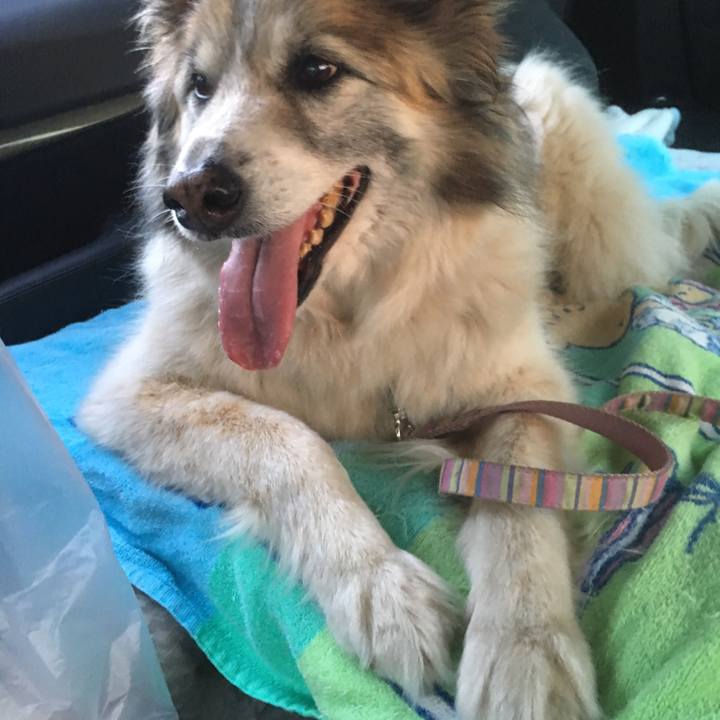 4de976fd 8966 4770 85e1 1b25b1472e67