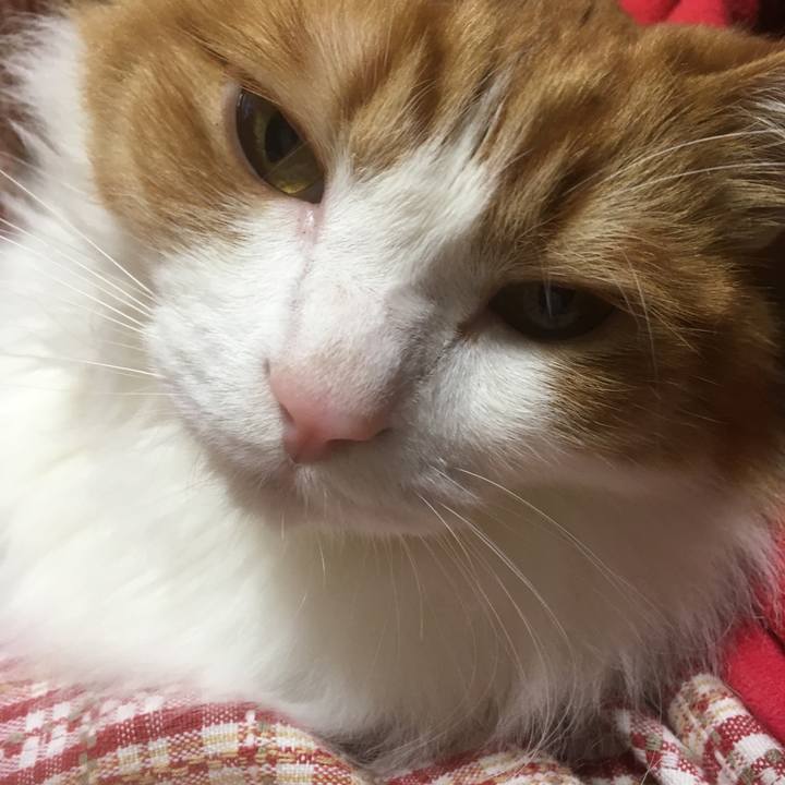 4de986d1 d2cd 4a58 8f09 15d0912681a9